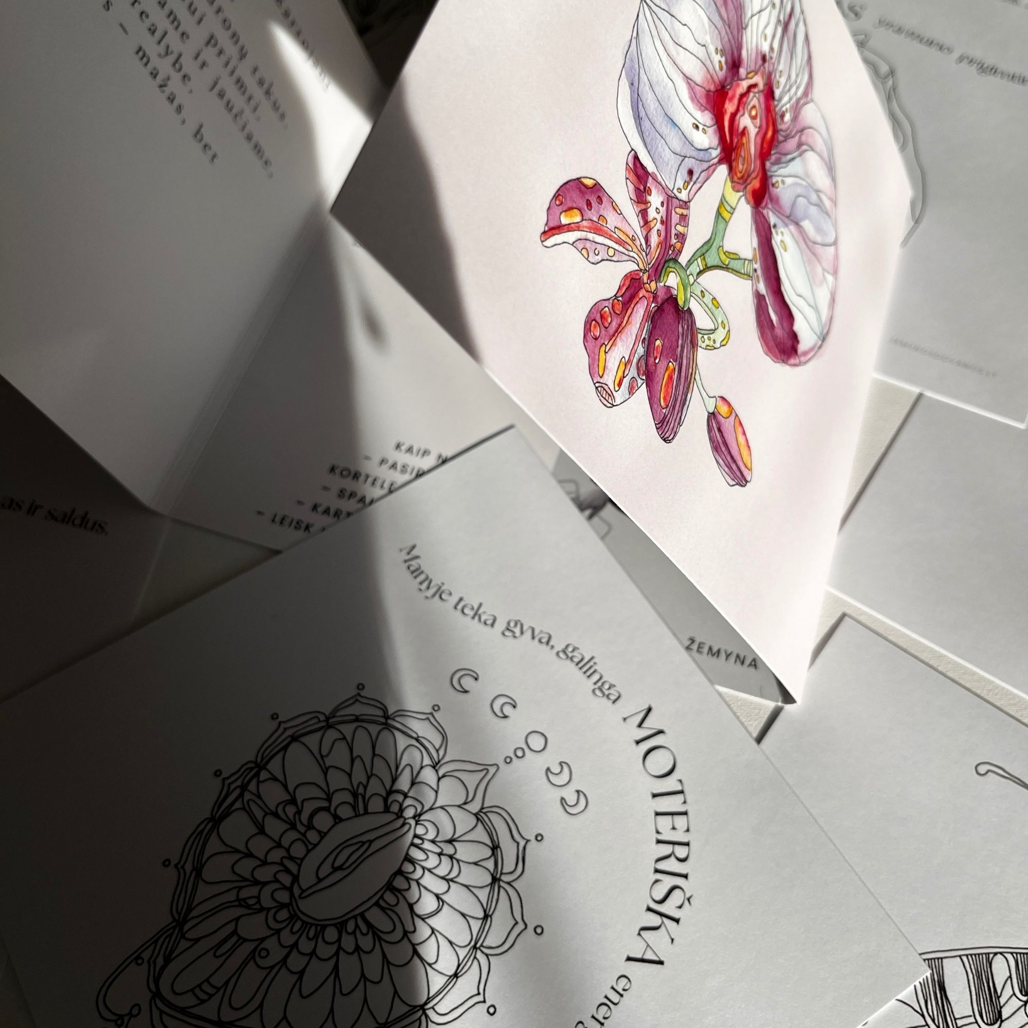 Spalvinimo kortos – Savo vidumi žydėk - Image 5