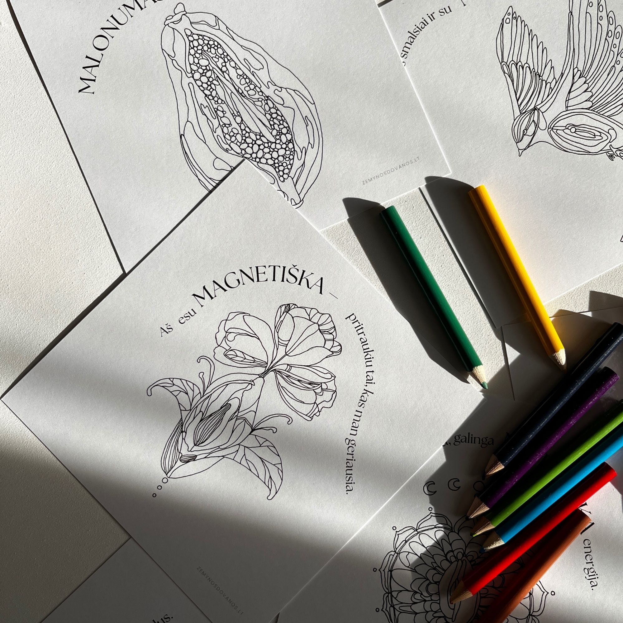 Spalvinimo kortos – Savo vidumi žydėk - Image 6