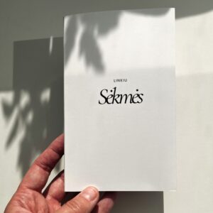 Stilingas vokelis pinigams – „Linkiu sėkmės“